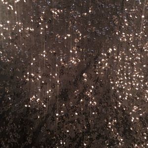 BNWT Express sequin dress